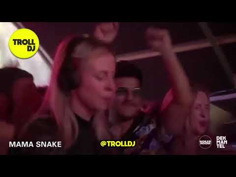 Mama Snake Welcomes us on our return 😂 @TrollDJ