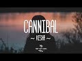 Kesha - Cannibal (Lyric Video)