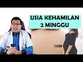 PERKEMBANGAN BAYI USIA KEHAMILAN 2 MINGGU DOKTER SADDAM ISMAIL