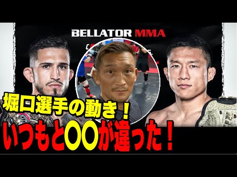 【堀口VSセルジオ試合解説】プロの見解はこうだ❗️今回の試合のポイント教えます。【ストラッサー起一】