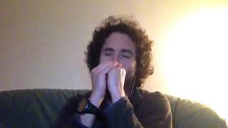 "Rocker" Little Walter cover