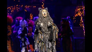 Cats the Musical - The Ad-Dressing of Cats