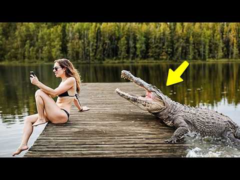95 Luckiest People Ever Caught on Camera