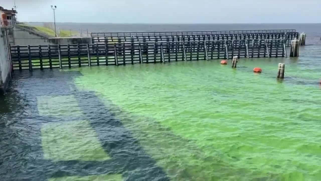 More algae blooms popping up on Lake Okeechobee