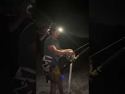 Using Swell Pro Drone To Catch Shark (part 2.)