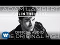 Adam Lambert - Evil in the Night