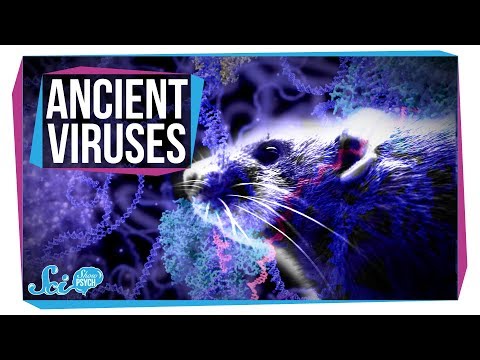 How Ancient Viruses Might Have Changed Our Brains