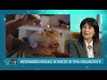 Control Medical 2 Video thumbnail