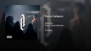 Alemán - perro callejero
