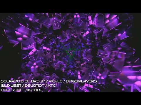 Solardo & Eli Brown x Pickle x Bingo Players - Wild West x Devotion x XTC (Darckwell Mashup)