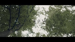 AK & Veela - Grow