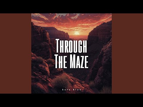 Through The Maze