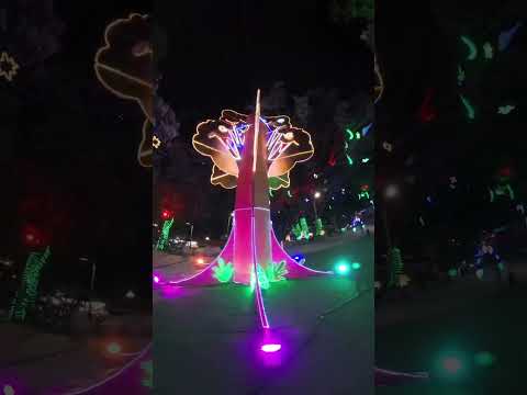 Día 1 Viendo alumbrados | La Estrella #colombia  #parati #medellín #navidad
