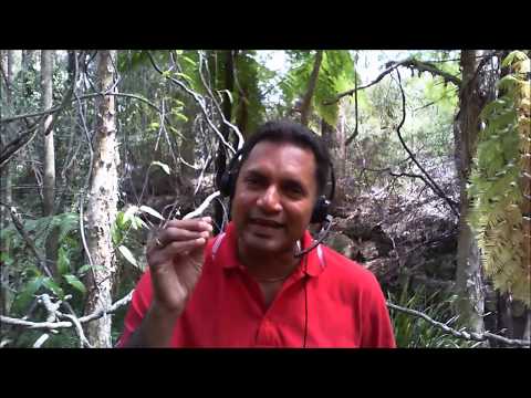 CIMA Strategic Case Study November 2018 - Key 20 Issues (KTI)