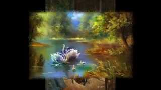 Richard Clayderman - Fernando - Made by : Magdy Yousef