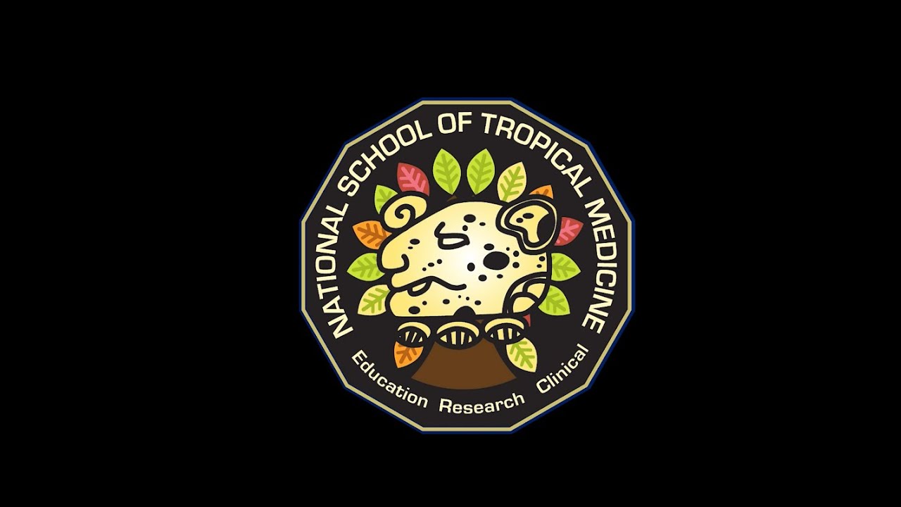Molecular Mechanisms of Tick-Borne Relapsing Fever