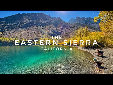 Discovering Peak Fall Colors in California | Sierra Nevada Mountains