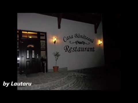 Cristina Raicu - Eu pe toti i am ajutat by Lautaru