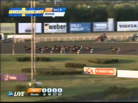 El Mago Pellini Vorlauf Svenskt Travderby 2013