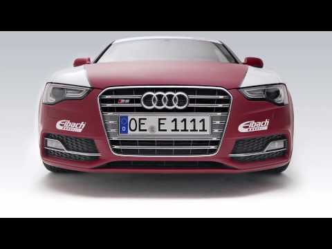 SPORTLINE | Performance Springs