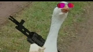 @mr parkour ninguém me vence!