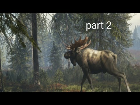 call of the wild part 2 hunting some moose