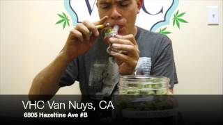 STRAIN REVIEW: King Louie OG (VHC Van Nuys)