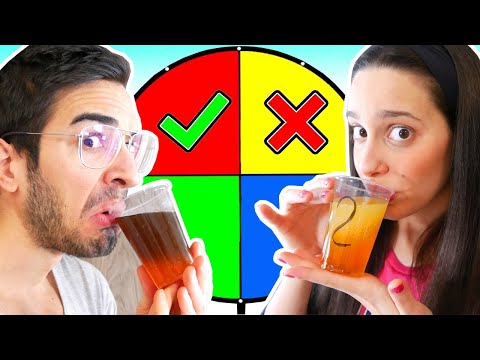 THE WHEEL OF DISGUSTING DRINKS!!