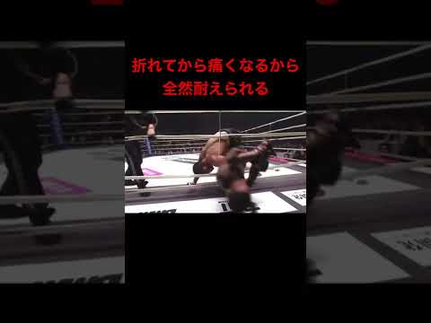 堀口恭司の関節技を耐える感覚がヤバすぎた