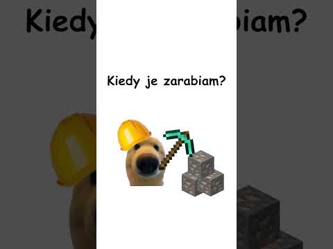 Podatki wytłumaczone przez pieska 🐶