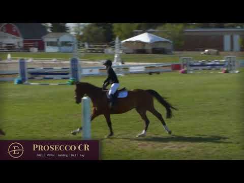 Prosecco CR Jumping
