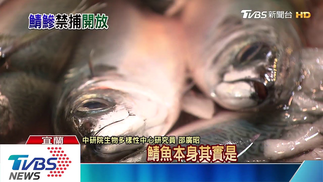 百噸大船開進「紅火心」 最快春節後上路