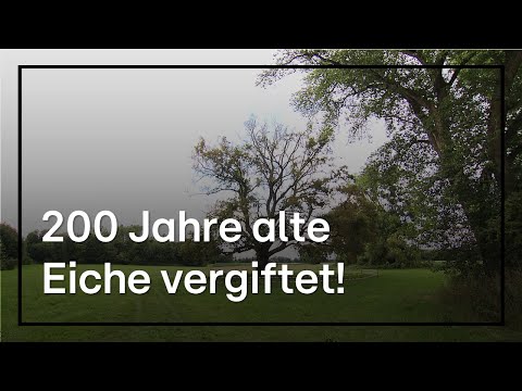 Nächster Gift-Anschlag auf Bäume in Hessen - wieder Glyphosat!