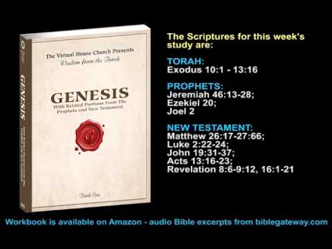 VHC Week 15 - Torah Portion: Bo (Enter/Go/Come