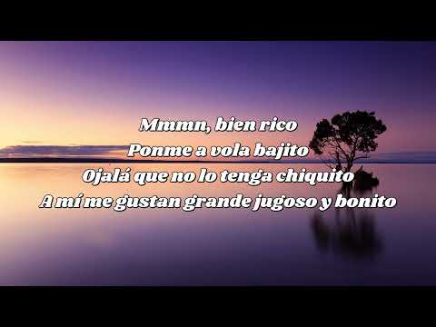 Yailin La Mas Viral  @MestizoIsBack TROLA REMIX Video Oficial lyrics