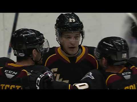 Marlies vs. Monsters | Jan. 23, 2019