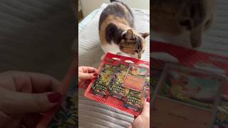 A Stella tá sabendo farejar a sorte? #pokemon #pokemontcg #pokemoncommunity #pokemonunboxing