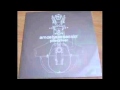 amoebaassassin - piledriver 12" 