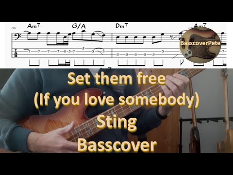 Thumbnail for If you love somebody (Set them free) by Sting. Bass Cover Tabs Score Chords Transcription by Sting