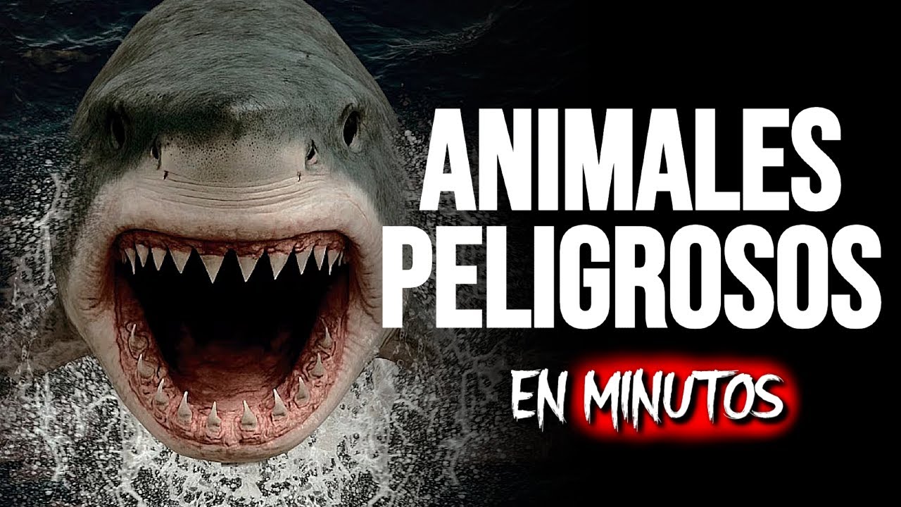 ANIMALES PELIGROSOS: Matar por INSTINTO | RESUMEN