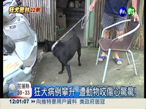 遭動物咬傷心驚 362人打狂犬疫苗