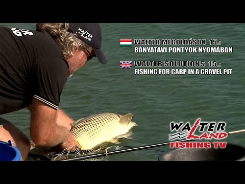 EPISODE 15: Bányatavi pontyok nyomában - Fishing for carp in a gravel pit