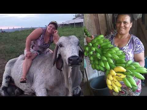 Na parte musical teremos o talento do pernambucano Maciel Melo e convidados e Irah Caldeira
