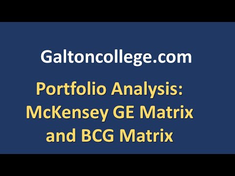 Portfolio Analysis: McKensey GE Matrix and BCG Matrix