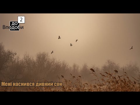 доВподоби - Мені наснився дивний сон (lyrics)