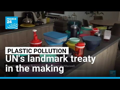 Fighting plastic pollution: UN's landmark treaty in the making