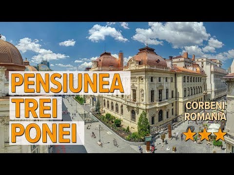 Pensiunea Trei Ponei hotel review | Hotels in Corbeni | Romanian Hotels
