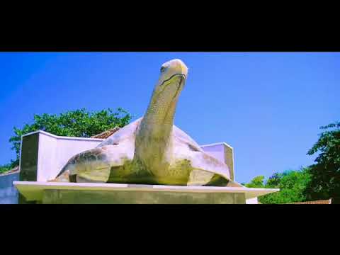 Yo bermain ke wisata beach pantai ujung genteng