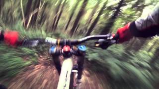preview picture of video 'Rostrevor Bin Run - Downhill GoPro Chest cam'