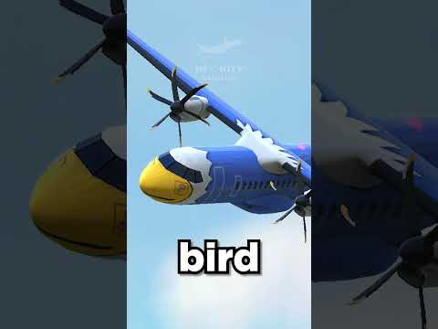 Which TFS PLANE Are You TODAY? |  #turbopropflightsimulator #tfs #Shorts #InfinityAviation